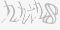 安全码