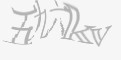 安全码